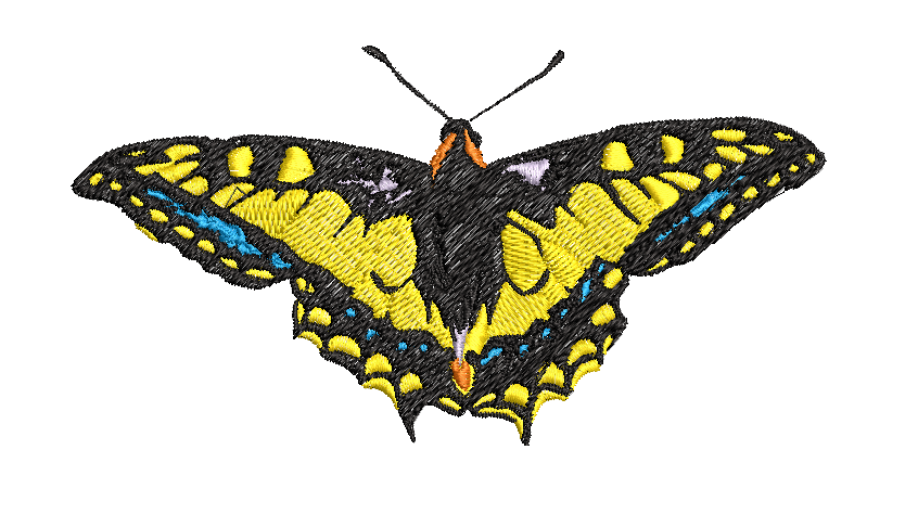 Machaon