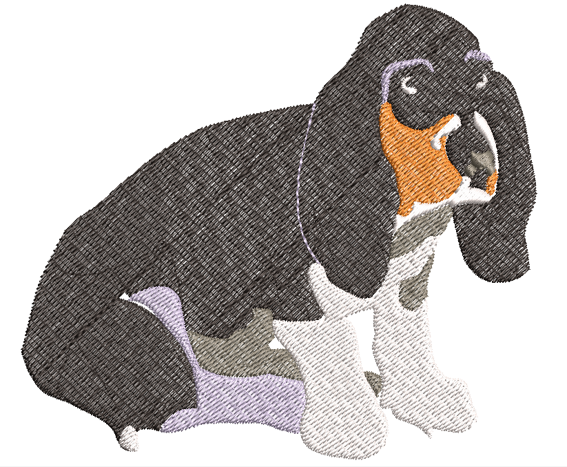 Chien