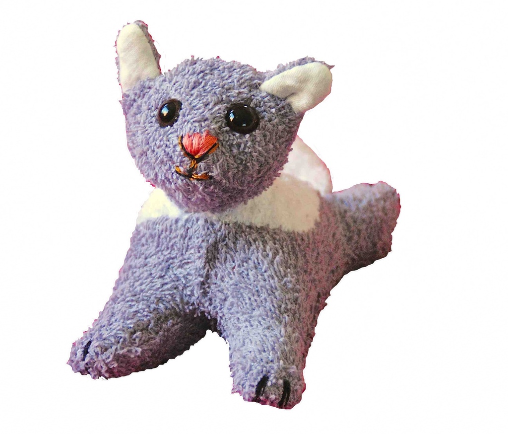 Misty le chat gris