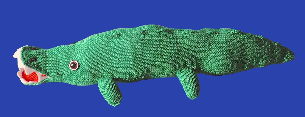 [D048] Émile le Crocodile